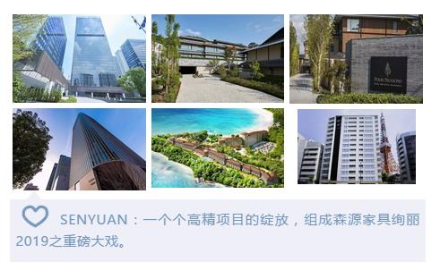 酒店家具，森源酒店家具實例